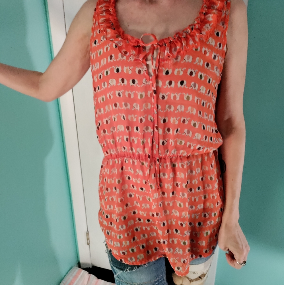 3/15 Sheer Elephant Top